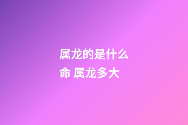 属龙的是什么命 属龙多大-第1张-观点-玄机派